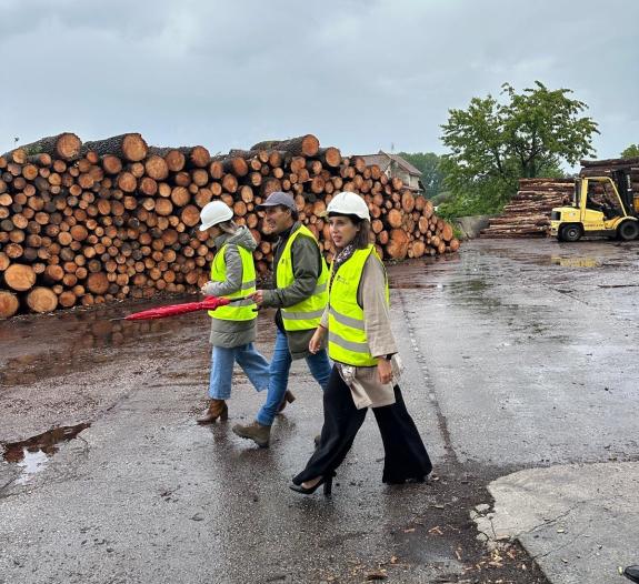 Imaxe da nova:A Xunta reforza o apoio ao sector forestal-madeira coa incorporación de novos recursos e servizos á Axencia Galega de Industrias Fo...