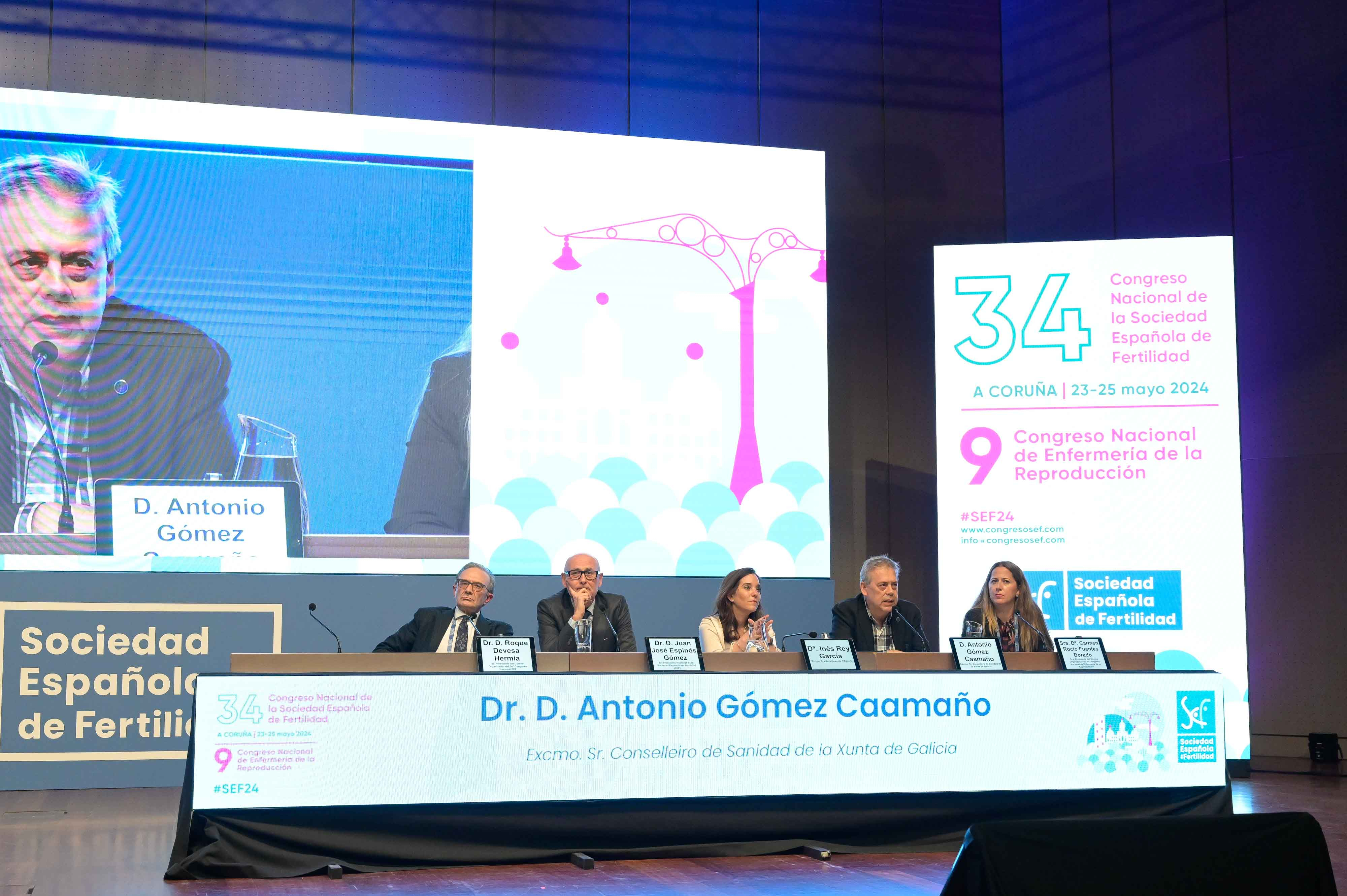 Image 2 of article Gómez Caamaño salienta que Galicia avanza xa no compromiso de elevar ata os 45 anos a idade máxima para acceder á reprodución asistida no Servizo Galego de Saúde