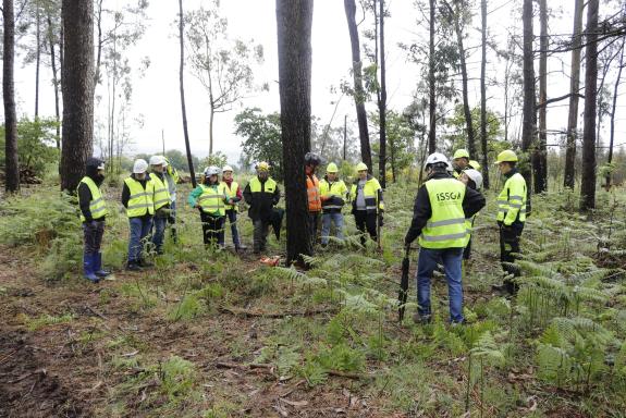 Imaxe da nova:A Xunta aposta pola formación para previr os riscos laborais nos labores de aproveitamento forestal