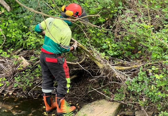 Imagen de la noticia:La Xunta realiza labores de conservación y mejora en el río Sarela, a su paso por el Concello de Santiago