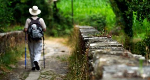 Imagen de la noticia:El Camino de Santiago renueva su condición de Primer Itinerario Cultural Europeo