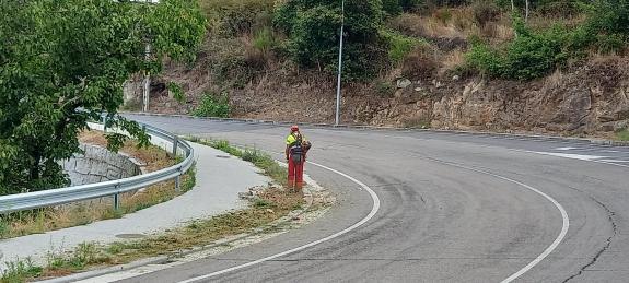 Imaxe da nova:A Xunta continuará os traballos de limpeza nas marxes de estradas autonómicas nas provincias da Coruña, Lugo e Pontevedra