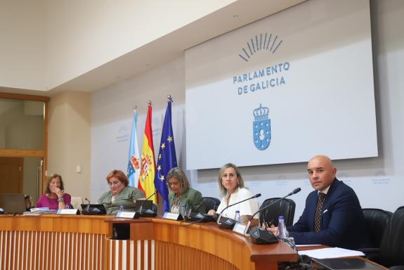 Imaxe da nova:A Xunta presenta ante o Parlamento tres informes sobre os avances en materia de violencia de xénero