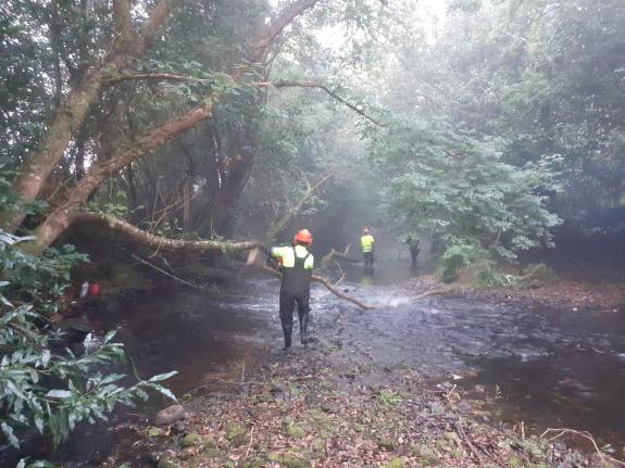 Imaxe da nova:A Xunta realiza labores de conservación en varios tramos do río Grande de Xubia nos concellos de Moeche, San Sadurniño, Narón e Ned...