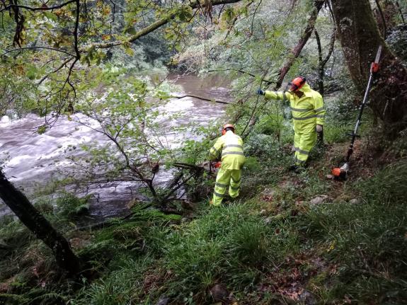 Imaxe da nova:A Xunta realiza labores de conservación nun tramo de 1,3 quilómetros do río Umia, en Caldas de Reis