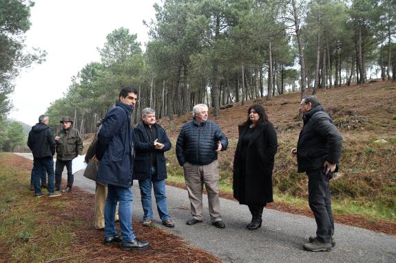 Imaxe da nova:A provincia de Ourense aglutina a metade dos máis de 10 M€ concedidos pola Xunta en 2022 para o fomento da silvicultura activa