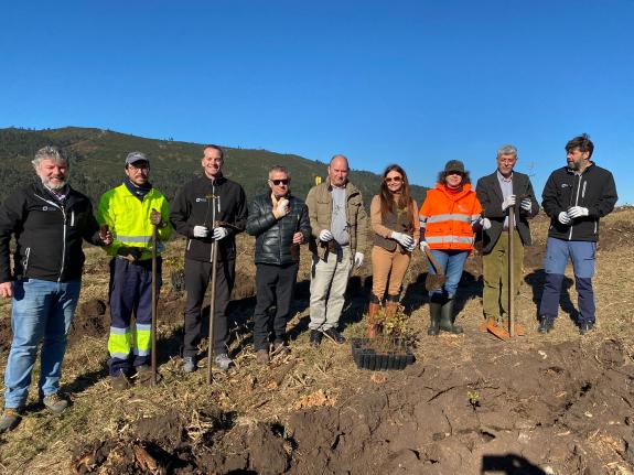 Imaxe da nova:A Xunta colabora na plantación dunha hectárea de árbores autóctonas no marco da campaña Camiño da reciclaxe