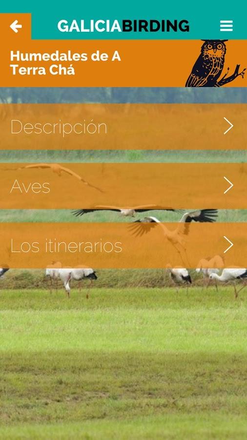 Imagen asociada a Galicia Birding: 3