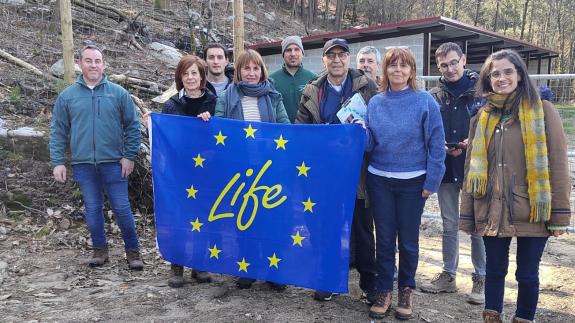 Imaxe da nova:A Xunta participa no proxecto LIFE-Silfore para a mellora dos bosques galegos