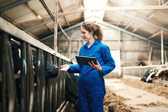 Imaxe da nova:A Xunta amplía ata o vindeiro 27 de marzo o prazo de solicitude das axudas para a incorporación da mocidade ao agro, plans de mello...