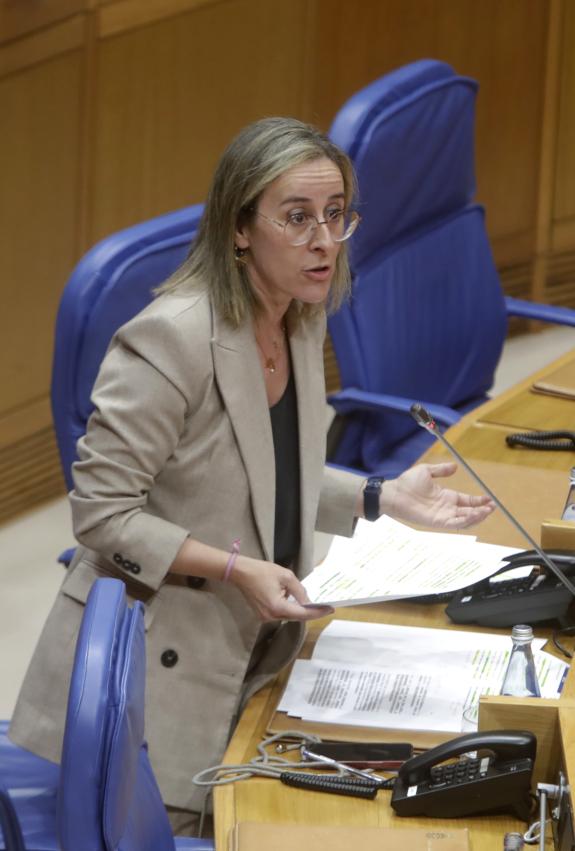 Imagen de la noticia:Ethel Vázquez lamenta que el Gobierno de España se desentienda de los trenes Avril y lo insta a trasladar  información certe...