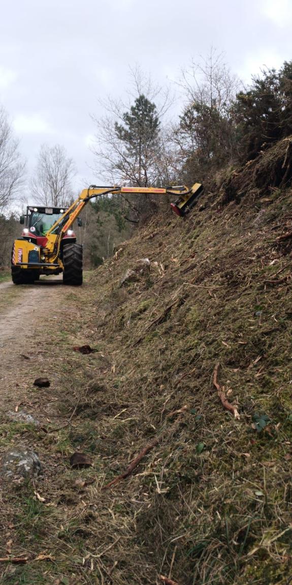 Imaxe da nova:A Xunta desenvolve actuacións preventivas en montes do distrito forestal IX Lugo - Sarria
