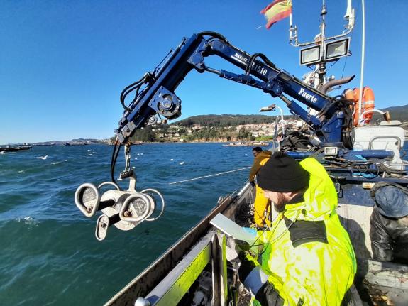 Imagen de la noticia:Galicia formará observadores en pesca de bajura para avanzar en la obtención de datos y optimizar la gestión sostenible de l...