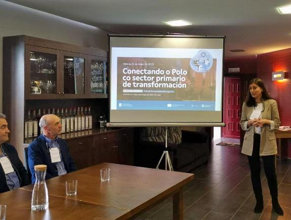 Imagen de la noticia:El Polo Lugo Sur asesora 26 proyectos emprendedores impulsados por 28 personas desde Monforte de Lemos