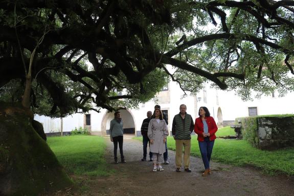 Imagen de la noticia:La Xunta resuelve incorporar al Catálogo Gallego de Árboles Singulares dos secuoyas, un alcornoque y una formación de cameli...