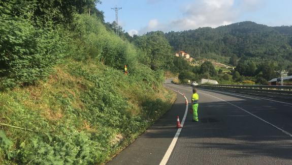 Imagen de la noticia:La Xunta continuará esta próxima semana los trabajos de limpieza en las márgenes de seis carreteras autonómicas de las cuatr...