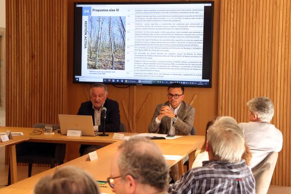 Imaxe da nova:A Xunta presenta no Consello Forestal un avance da Estratexia para o fomento da xestión activa das frondosas e do libro branco sobr...