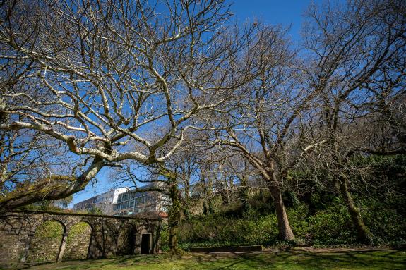 Imagen de la noticia:Galicia redujo un 34 % las emisiones contaminantes en 2021 y fue la comunidad que más incrementó su capacidad de absorción d...