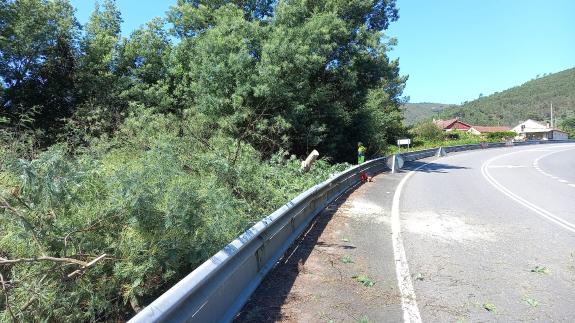 Imaxe da nova:A Xunta comezará esta semana novos traballos de limpeza nas marxes da autovía AG-64 en San Sadurniño, e na estrada LU-160, en Mondo...