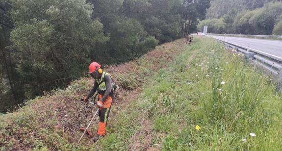 Imagen de la noticia:La Xunta comenzará esta semana nuevos trabajos de limpieza en los márgenes de la carretera autonómica LU-124, en el Ayuntami...