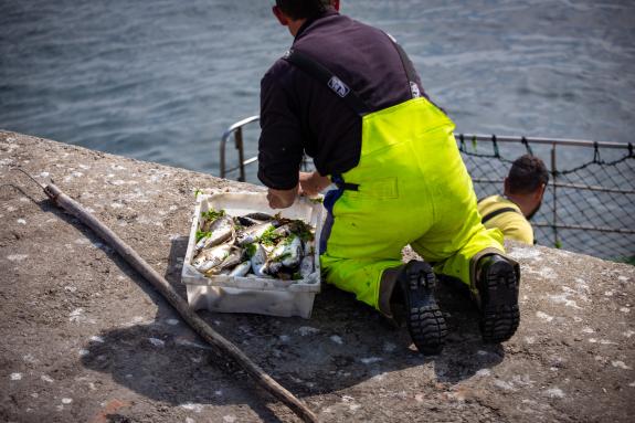 Imagen de la noticia:La población ocupada en la pesca extractiva y en la acuicultura gallegas aumenta en 370 personas entre 2017 y 2021