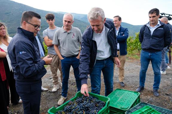 Imagen de la noticia:Rueda destaca el valor que genera el sector vitivinícola en Galicia y la gran aceptación con la que cuenta en el exterior