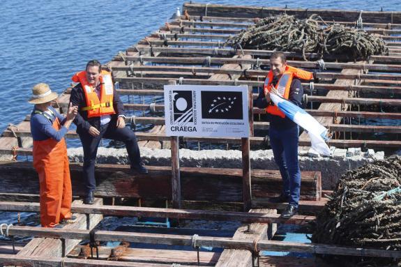 Imaxe da nova:As vendas de produtos do mar certificados con selo ecolóxico superan os 20 M€ en Galicia tras subir un 50 % en catro anos