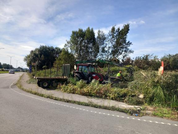 Imaxe da nova:A Xunta iniciará a vindeira semana traballos de limpeza nas marxes de distintas estradas autonómicas ao paso polos concellos de Out...