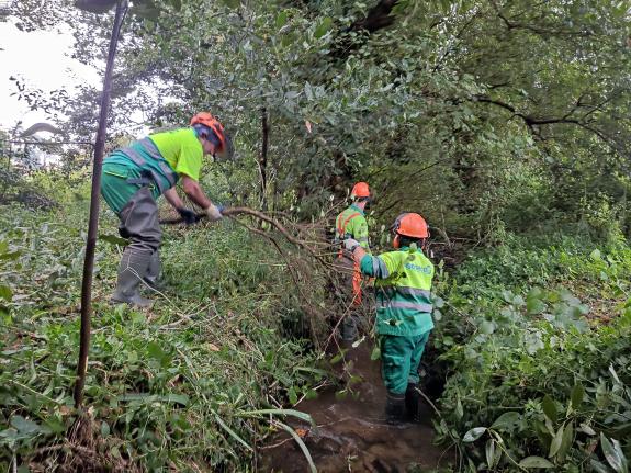 Imaxe da nova:A Xunta executa actuacións de conservación e limpeza nos treitos interurbanos do río Baltar no concello de Sanxenxo