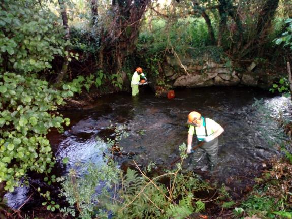 Imagen de la noticia:La Xunta realiza trabajos de conservación y limpieza en los trechos interurbanos de los ríos Barosa y Maquieira a su paso po...
