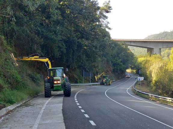 Imaxe da nova:A Xunta comezará a vindeira semana traballos de limpeza nas marxes da estrada AC-214, no concello de Cambre