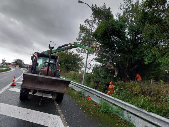 Imagen de la noticia:La Xunta comenzará la próxima semana trabajos de limpieza en los márgenes de dos carreteras autonómicas al paso por las coma...