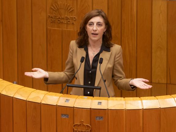 Imaxe da nova:Ángeles Vázquez chama á unidade do Parlamento para exixir ao Estado que retire o recurso contra unha Lei do litoral que só defende ...
