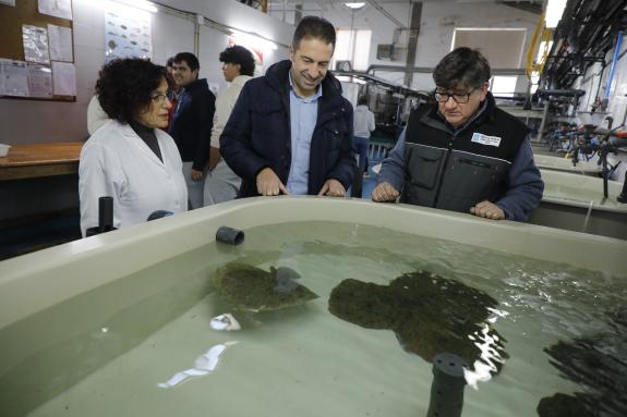 Imagen de la noticia:La Xunta destaca que Galicia es referencia en la formación profesional de calidad en el ámbito marítimo pesquero con un pape...