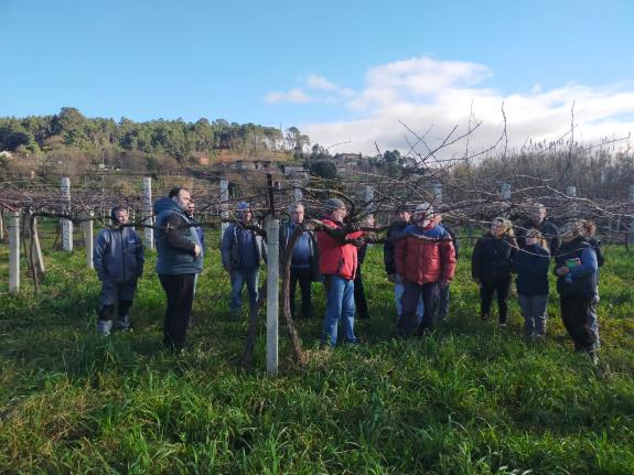 Imagen de la noticia:La Xunta imparte este mes de enero diferentes cursos sobre poda de viñedo a través de la Oficina Agraria Móvil
