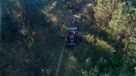 Imaxe da nova:A Xunta realiza labores de prevención de incendios no distrito forestal de Fisterra