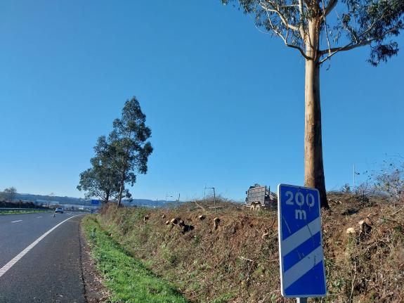 Imaxe da nova:A Xunta comezará a vindeira semana traballos de limpeza nas marxes de cinco estradas autonómicas nas provincias da Coruña, de Lugo ...
