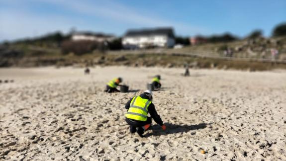 Imaxe da nova:A Xunta retirou das praias galegas 3.560 quilos de pellets e preto de 11.800 quilos doutros plásticos