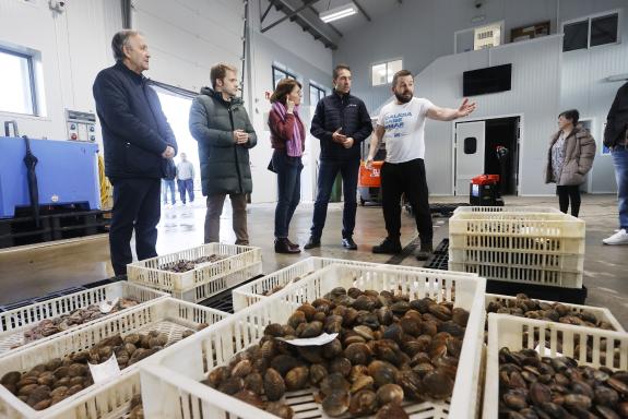 Imagen de la noticia:Alfonso Villares denuncia que el Estado impide el acceso a más ayudas para el sector marisquero al no declarar zona catastró...