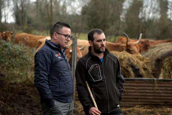 Imaxe da nova:A Xunta pon en valor as axudas para a incorporación de mozos ao agro nunha visita a unha explotación de vacún de carne en Curtis