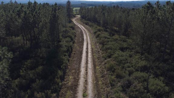 Imaxe da nova:A Xunta completa actuacións en 434,05 hectáreas no distrito forestal IX Lugo-Sarria para mellorar as infraestruturas preventivas an...