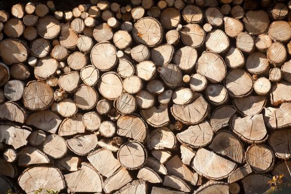 Imaxe da nova:A Xunta destina 4 M€ en axudas para a valorización e a segunda transformación da industria forestal madeira e do contract