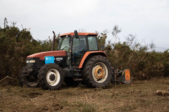 Imaxe da nova:A Xunta realiza traballos preventivos en Culleredo, no Distrito Forestal II Bergantiños-Mariñas Coruñesas, coa mellora de máis de 2...