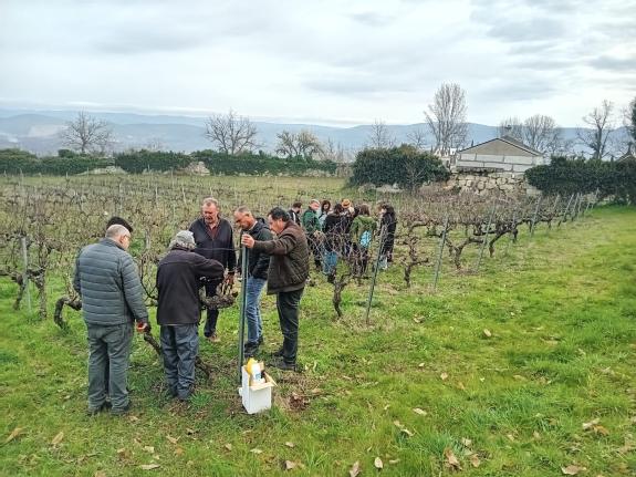 Imaxe da nova:A Xunta imparte un curso de poda en viñedo no concello de Monterrei a través da oficina agraria móbil
