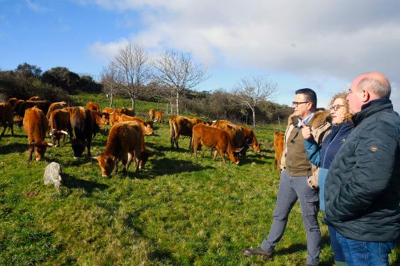 Imaxe da nova:A Xunta pide a Bruxelas “máis ambición” nas medidas de apoio aos agricultores e gandeiros: “as súas demandas son moi concretas, e a...