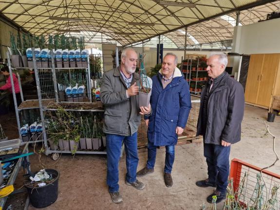 Imaxe da nova:Dous viveiros de Tomiño reciben preto de 90.000 euros das axudas da Xunta para o apoio aos investimentos en explotacións agrarias
