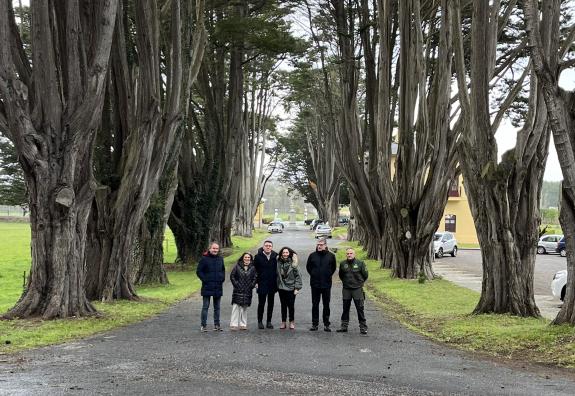 Imaxe da nova:A Xunta incorpora ao Catálogo galego de árbores senlleiras unha formación de alciprestes, no concello de Ribadeo