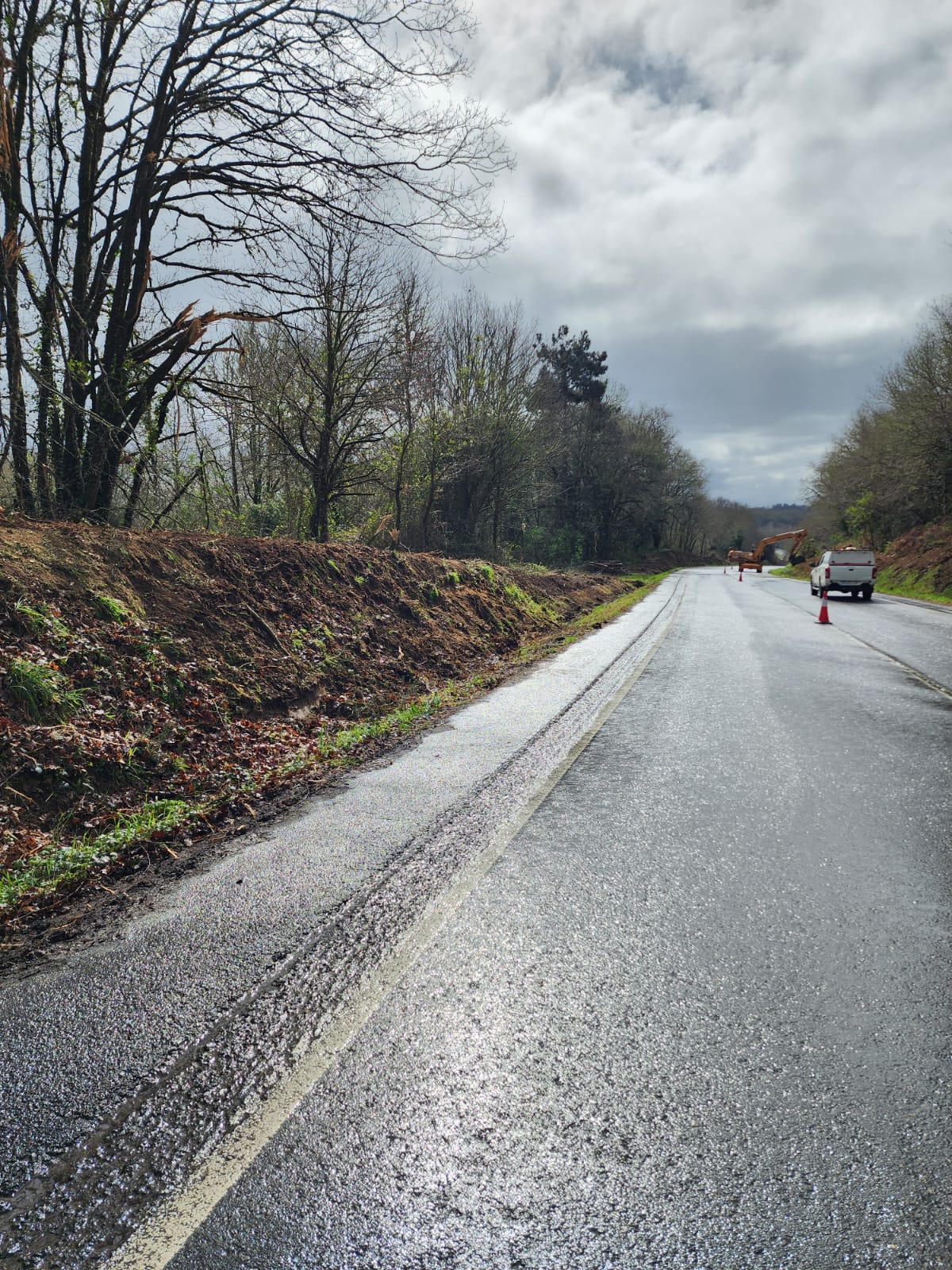 Image 2 of article A Xunta comezará a vindeira semana traballos de limpeza nas marxes de catro estradas autonómicas nas provincias da Coruña, de Lugo e de Ourense