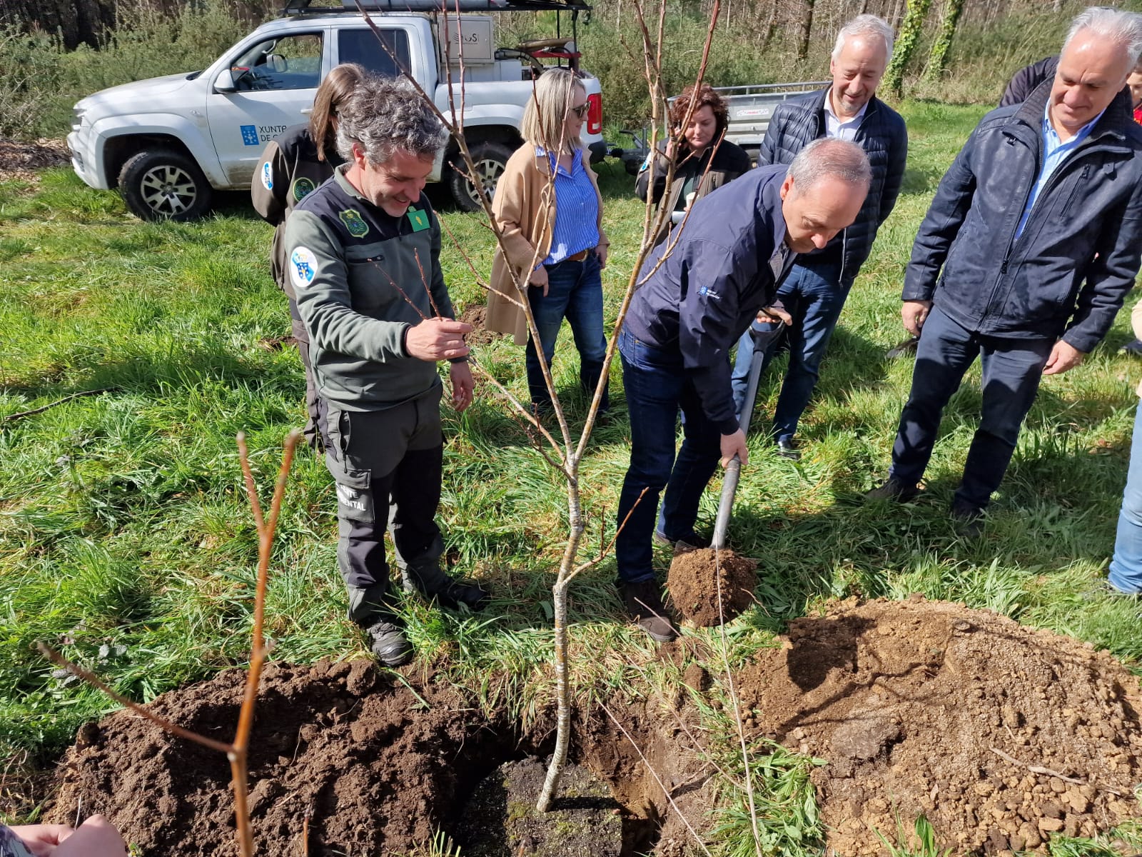 Image 3 of article A Xunta celebra o Día da Árbore co alumnado do CEIP o Foxo da Estrada coa plantación de 50 árbores autóctonas