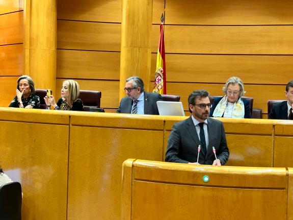 Imaxe da nova:A Xunta lembra no Senado os compromisos do Goberno central pendentes con Galicia
